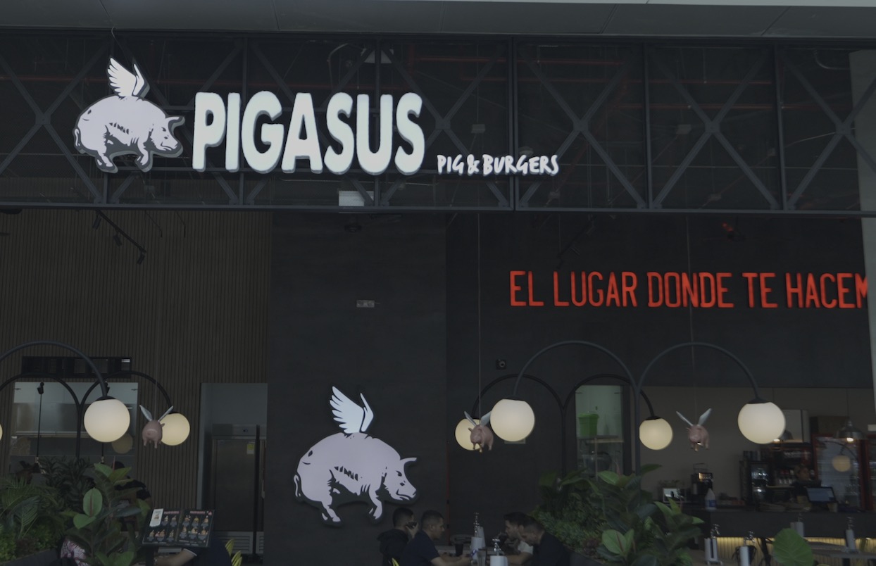 pigasus