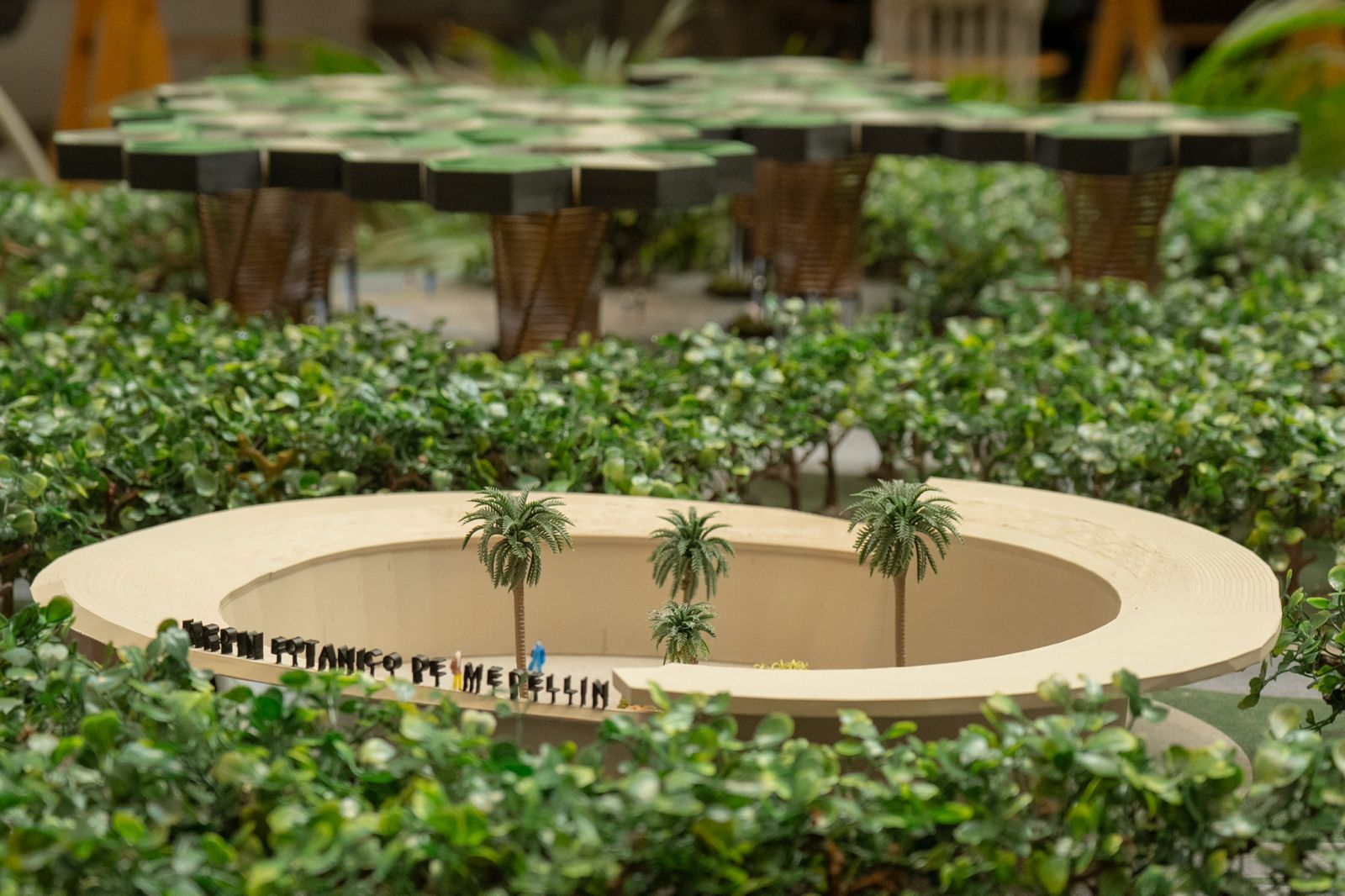 maqueta jardín botánico