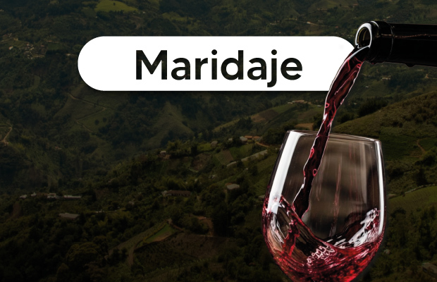 Maridaje de sabores y experiencias 