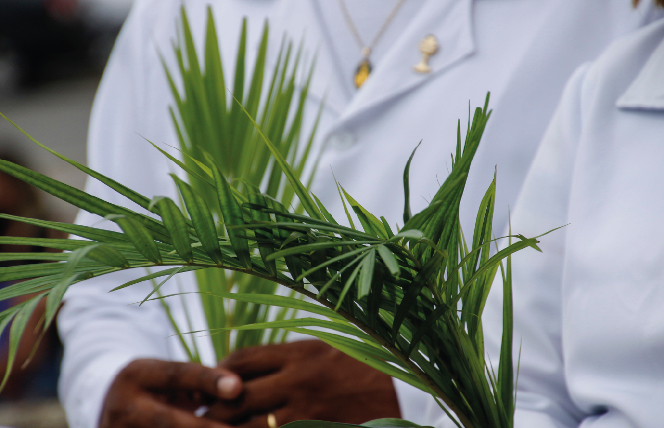 Domingo de ramos