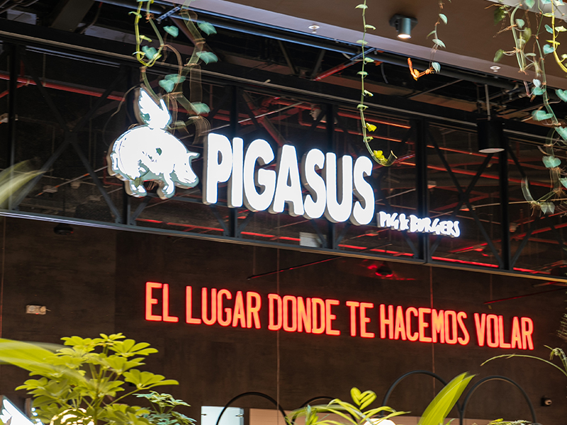 PIGASUS