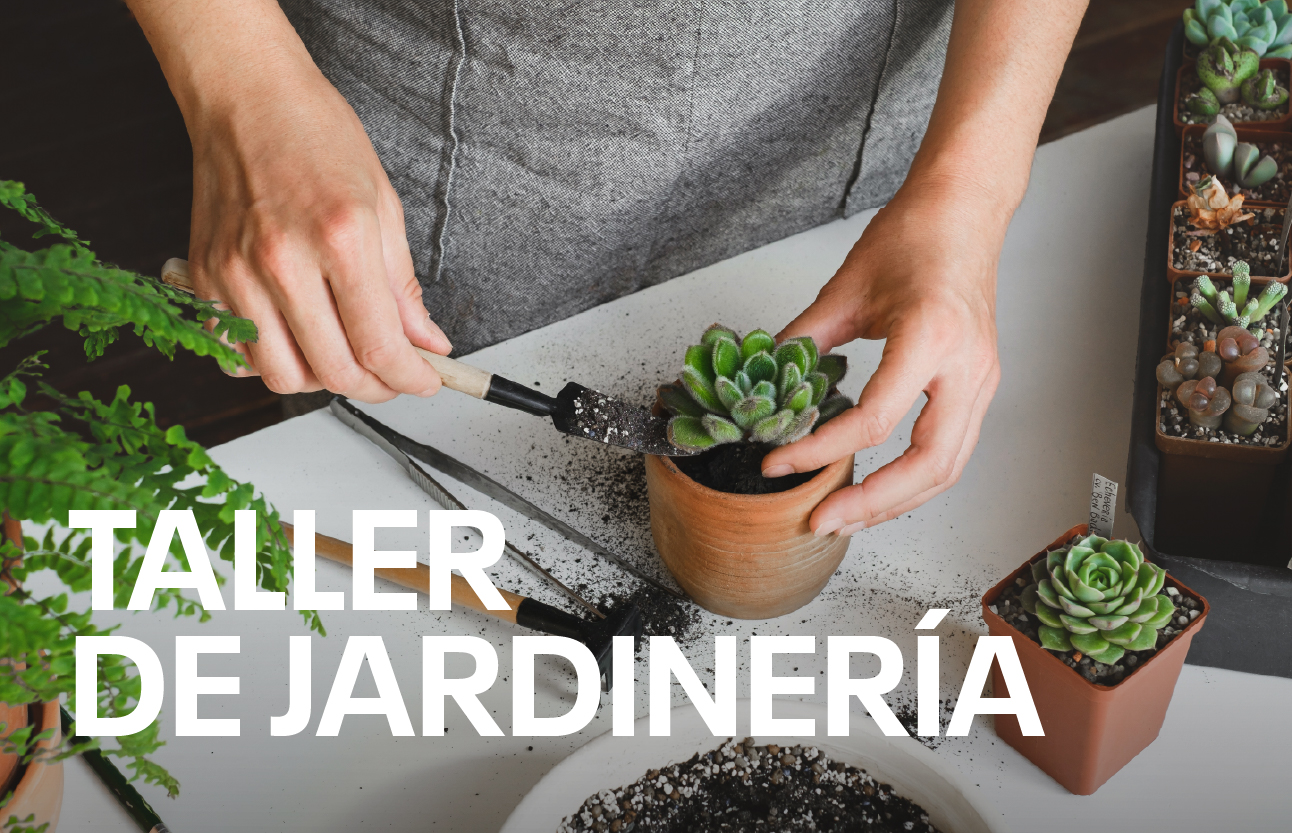 Taller de jardinería