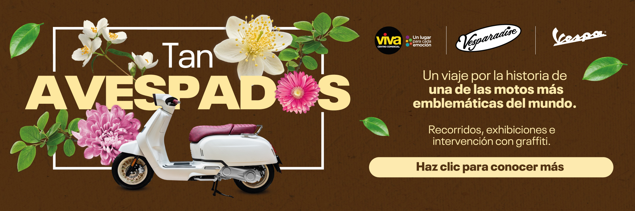 https://ccviva.com/laureles/eventos/tan-avespados