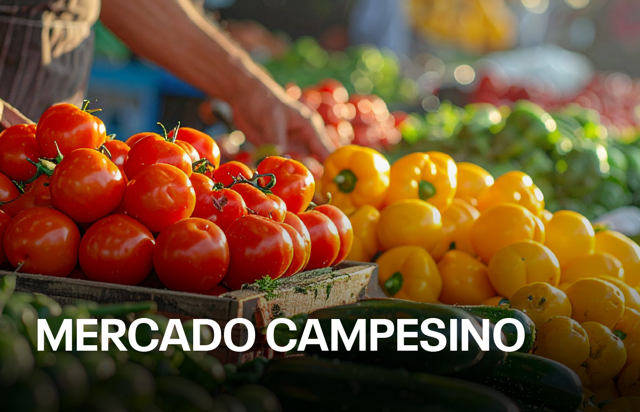 Mercado Campesino