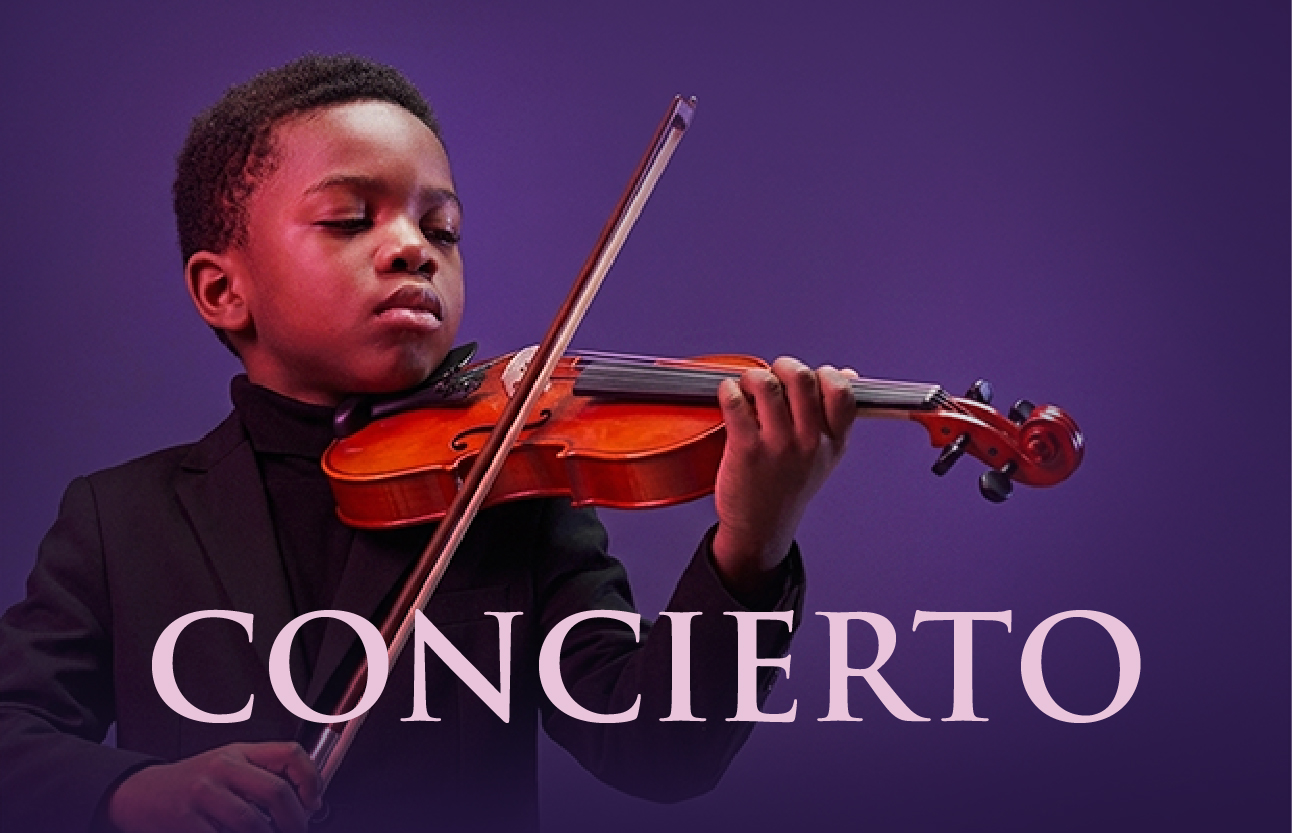     Concierto Proyecto de la Orquesta Filarmónica de Comfasucre